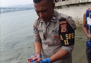 Geger! Jasad Bayi Perempuan Ditemukan Terapung di Pantai Rumahtiga Ambon